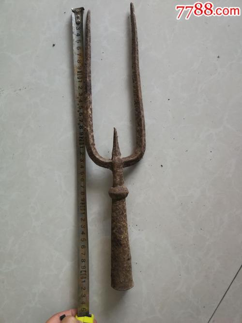 三股钢叉_话说在黄风岭,八戒筑死前路虎,（ ）手持三股钢叉,吹出伤得（ ）...