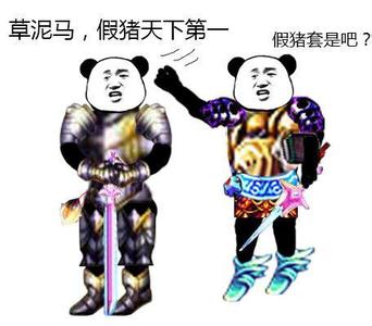 假猪套天下第一什么梗_假猪套天下第一是什么梗,什么意思？