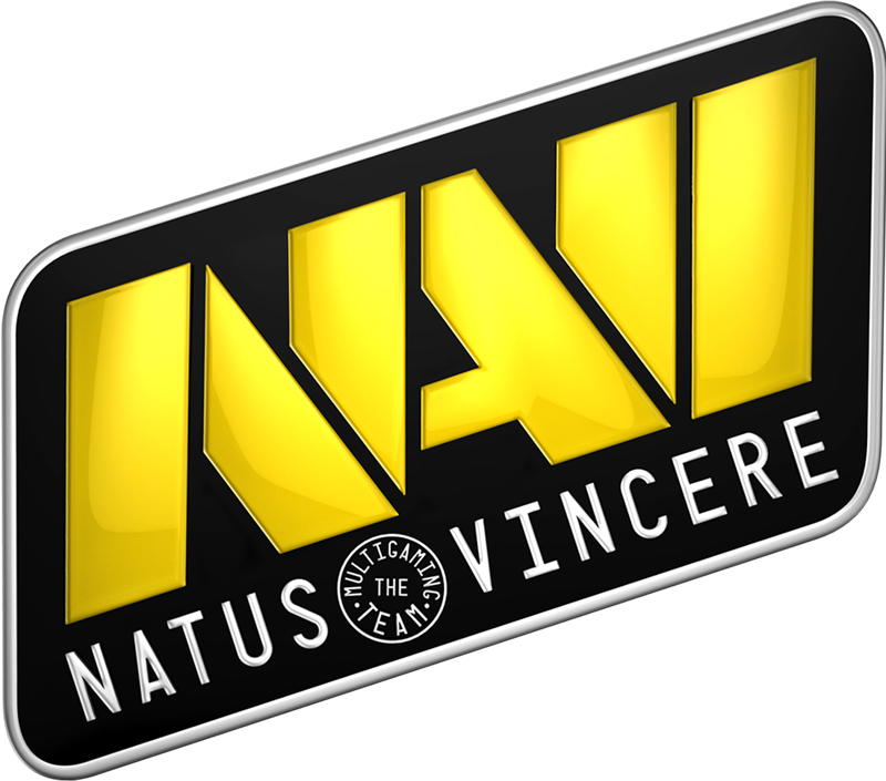 dota navi战队_dota navi战队是哪个国家的