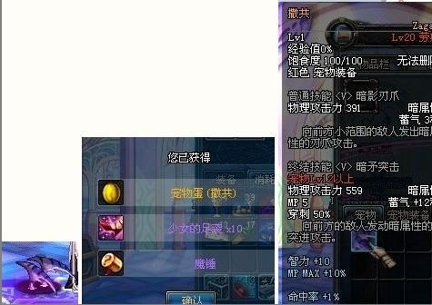 dnf撒共_DNF宠物撒共属性？有图更好