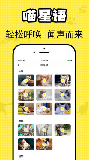 猫咪翻译官苹果版