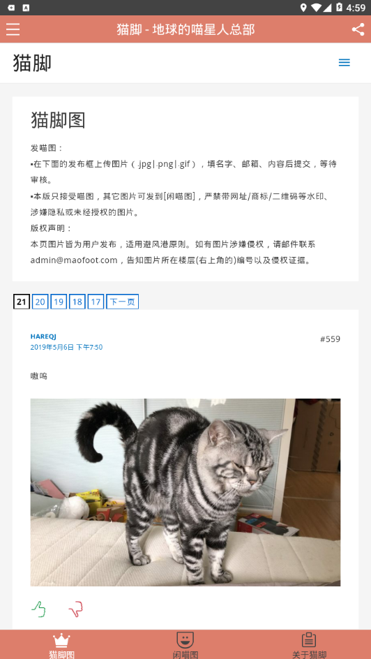 猫脚安卓版