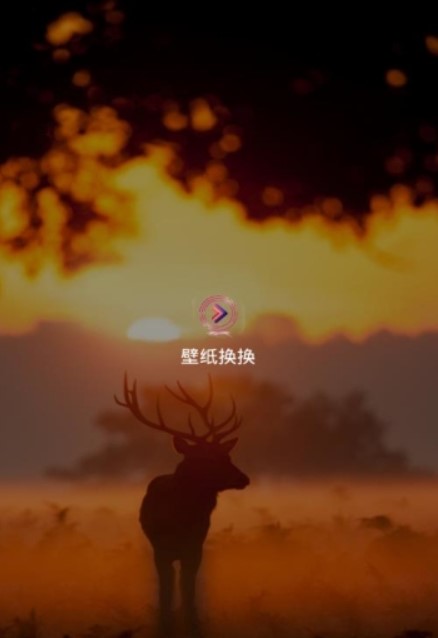 壁纸换换安卓版