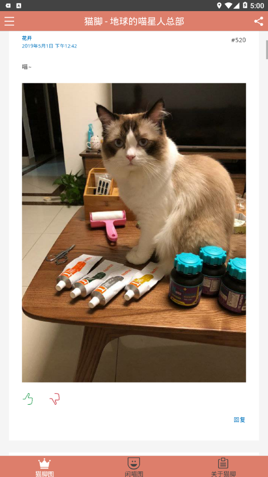 猫脚安卓版