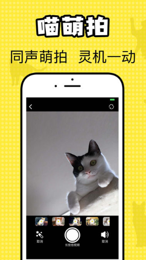 猫咪翻译官苹果版