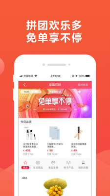 锦鲤团