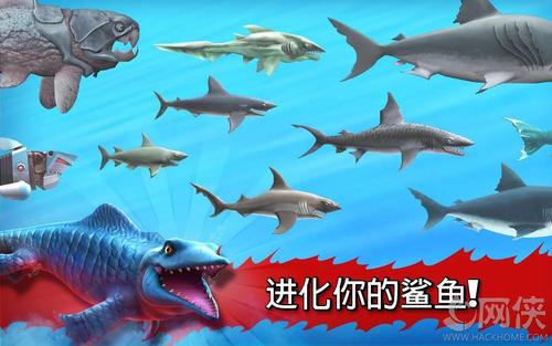 《饥饿的鲨鱼：进化》 破解版备份存档方法