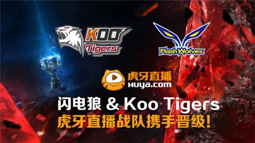 koo tigers_koo tigers是哪个国家的