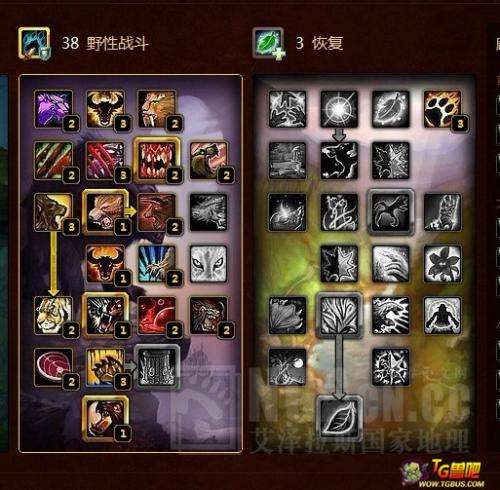 猫德pvp天赋_猫德pve pvp 输出手法,天赋雕文推荐。以及各大魔兽论坛网址