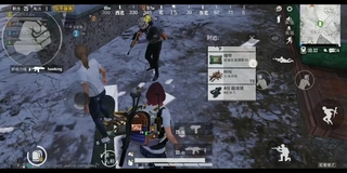 《和平精英bug》柒，和平精英，极寒风暴卡bug了(视频)