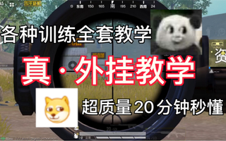 《和平精英教学》全套训练教学！超质量20分钟！简单秒懂！外挂教学！【和平精英】(视频)