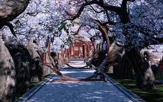 《天涯明月刀》 [Jack nife Home]花影|零寸自由踏步换景(视频)