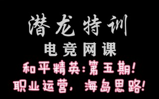 《和平精英教学》[和平精英]电竞网课第五期:职业战术运营，海岛圈型运输思路!(视频)