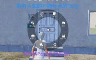 《和平精英bug》和平精英中鲜为人知的万能标点“bug”(视频)