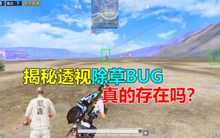 《和平精英bug》揭秘和平精英透视除草BUG，真的存在吗？(视频)