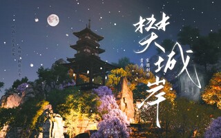 《天涯明月刀》【昼存/天刀手游家园】《天涯明月刀手游》樊城岸(视频)