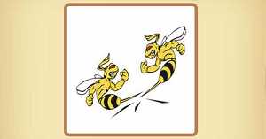 疯狂猜成语八只蜜蜂答案是什么？_八只蜜蜂的成语攻略