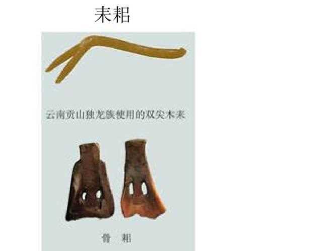 古代发明一工具“耒耜”，是用在那个行业？_耒耜用在哪个行业攻略