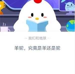 羊驼究竟是羊还是驼 蚂蚁庄园11月6日答案_羊驼究竟是羊还是驼攻略