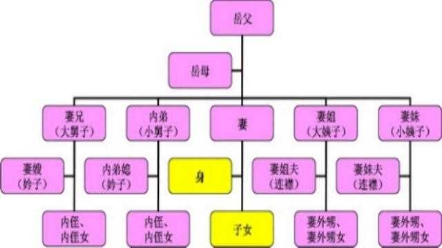 甲的嫂子是乙的姑姑，则以下两人属于“亲家”关系的是_甲的嫂子是乙的姑姑攻略