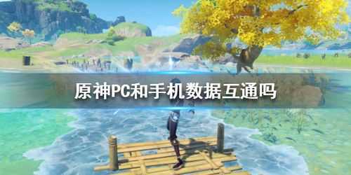 原神pc和手机数据互通吗 可以用一个账号玩吗_原神pc和手机数据互通吗攻略