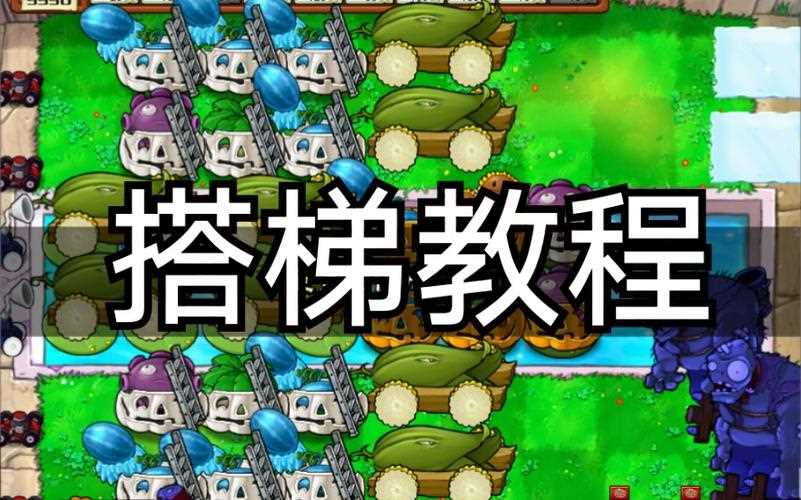 八炮流搭梯新手教程_八炮流攻略